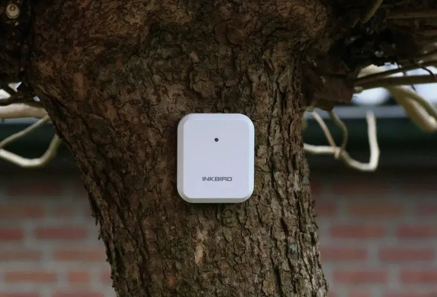 How to Calibrate a Hygrometer? Digital & Analog - INKBIRD