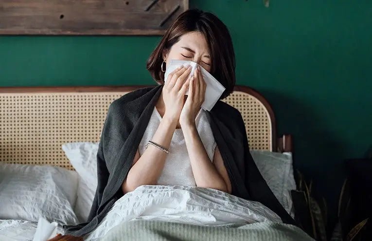 How to Improve Indoor Air Quality in Winter? 10 Cost-Effective Ways - INKBIRD