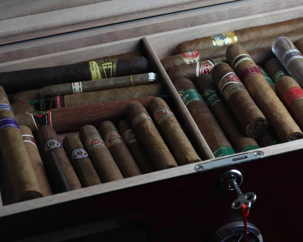 How to Store Cigars With and Without a Humidor