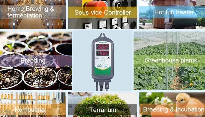 INKBIRD ITC-308 Digital Thermostat: Should You Buy? - INKBIRD