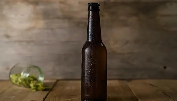 Renegade Brewing's Top Homebrew Temperature Controller 2024 - INKBIRD