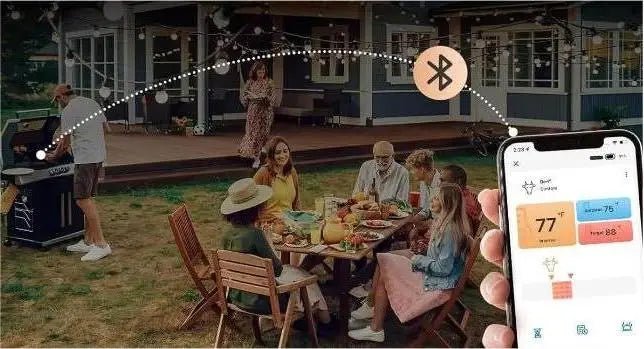 The 4 Best Bluetooth Thermometers for Meat Cooking - INKBIRD