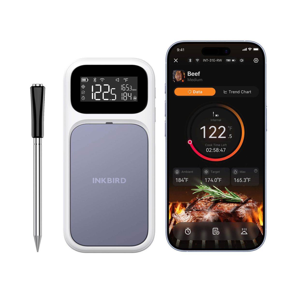 Thermomètre à viande WiFi et Bluetooth certifié NIST INT-31-BW