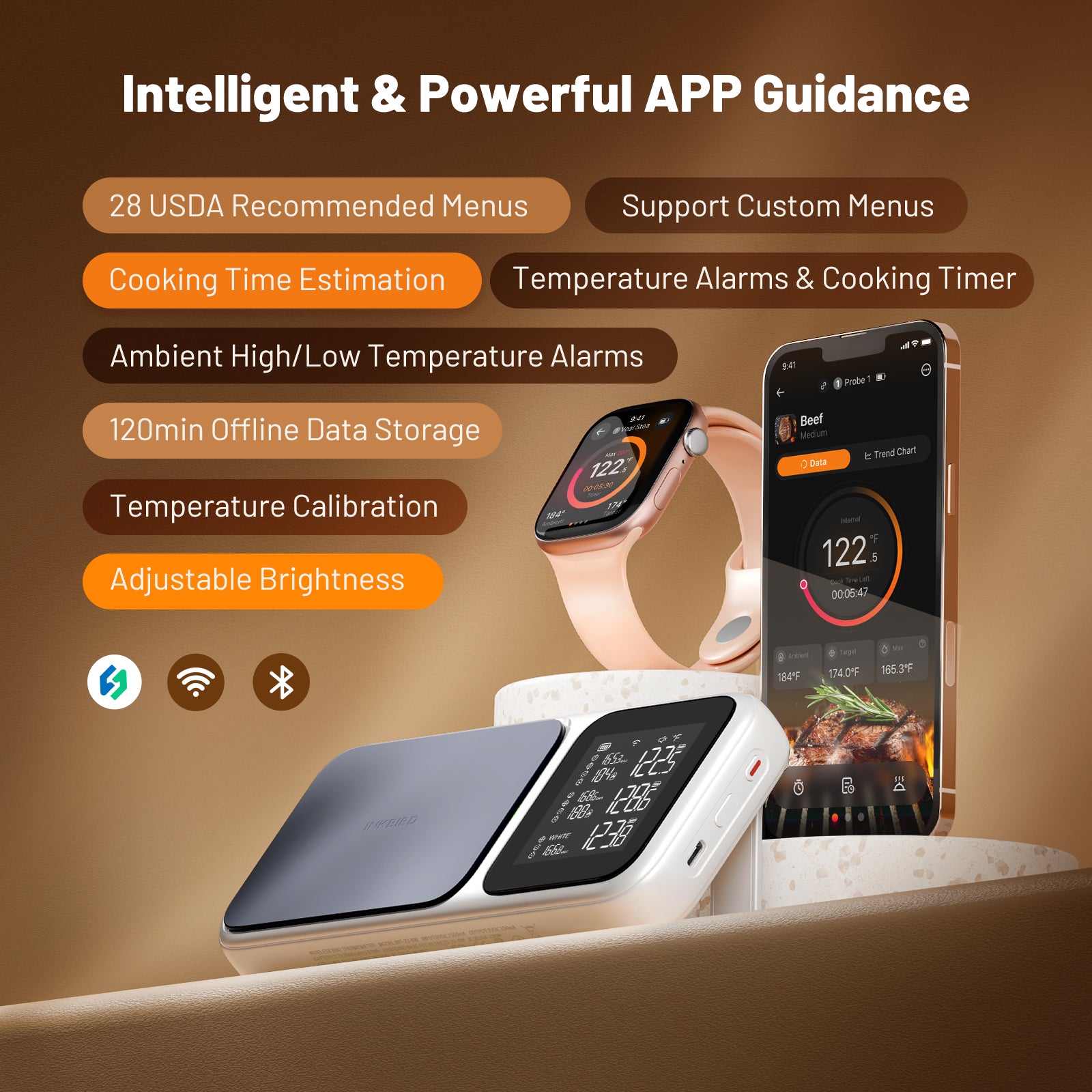 Multi-Sensor Meat Thermometer INT-33-BW