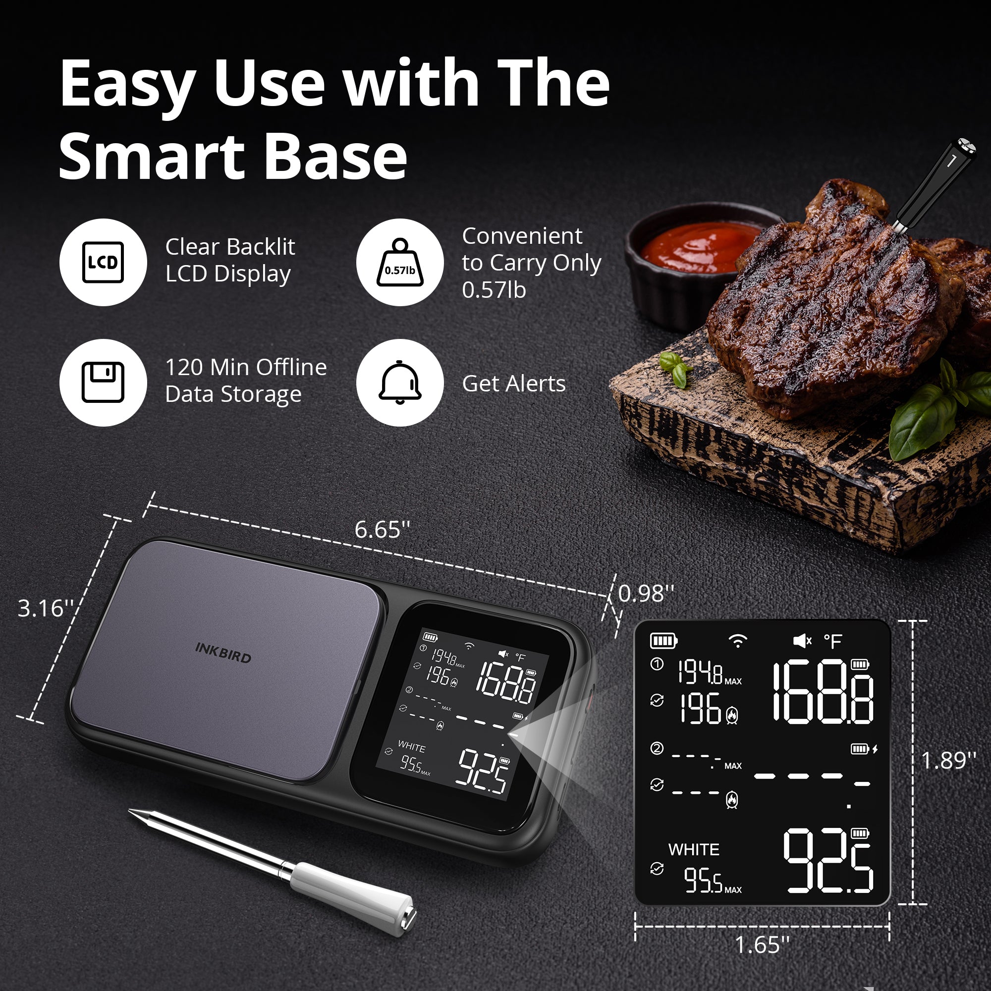 Multi-Sensor Meat Thermometer INT-33-BW