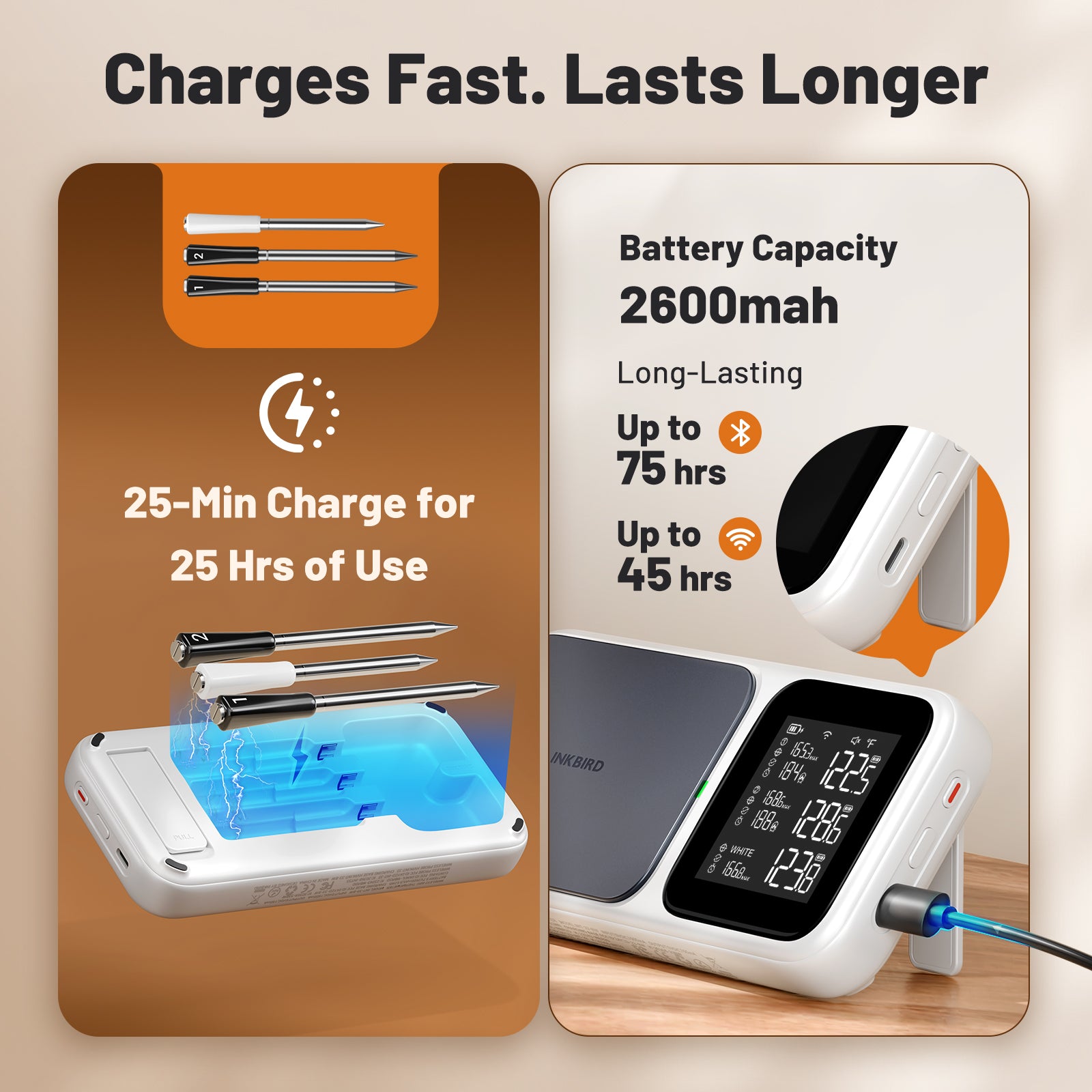Multi-Sensor Meat Thermometer INT-33-BW