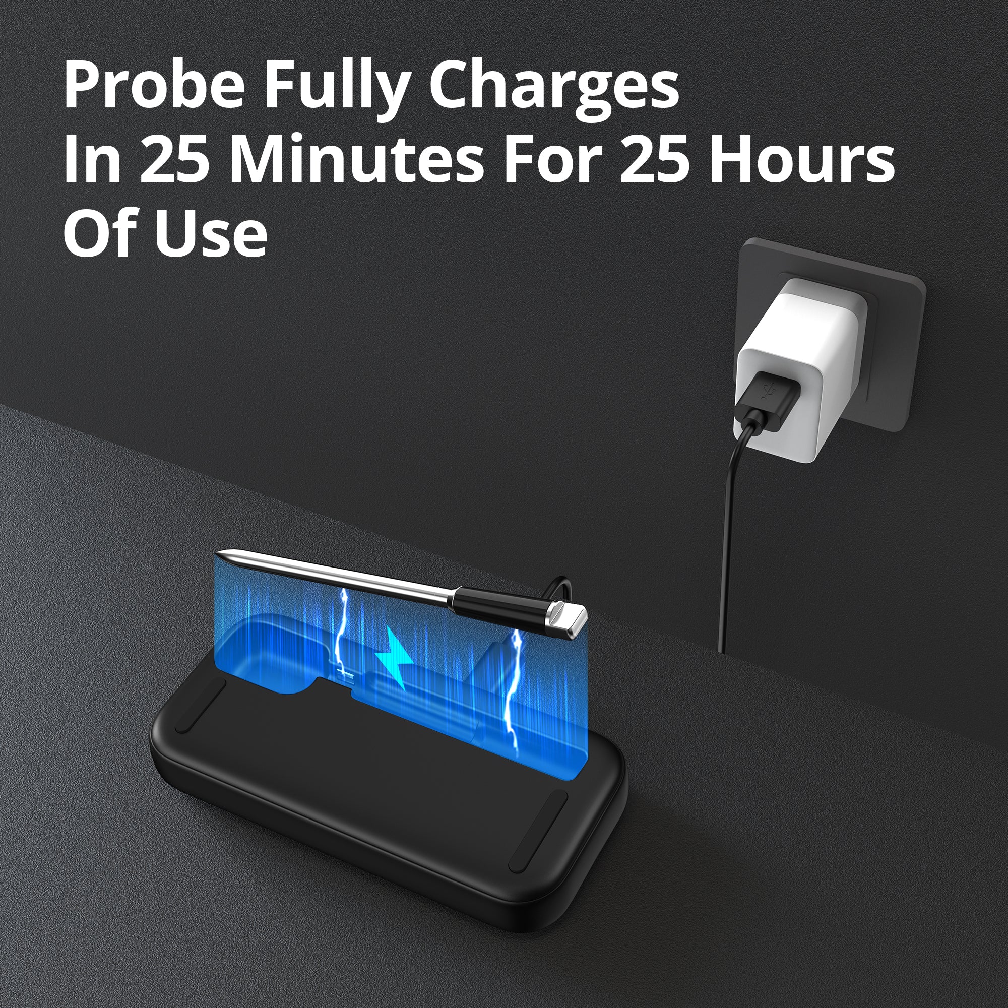 INT-31-BW Fast Charging Probe