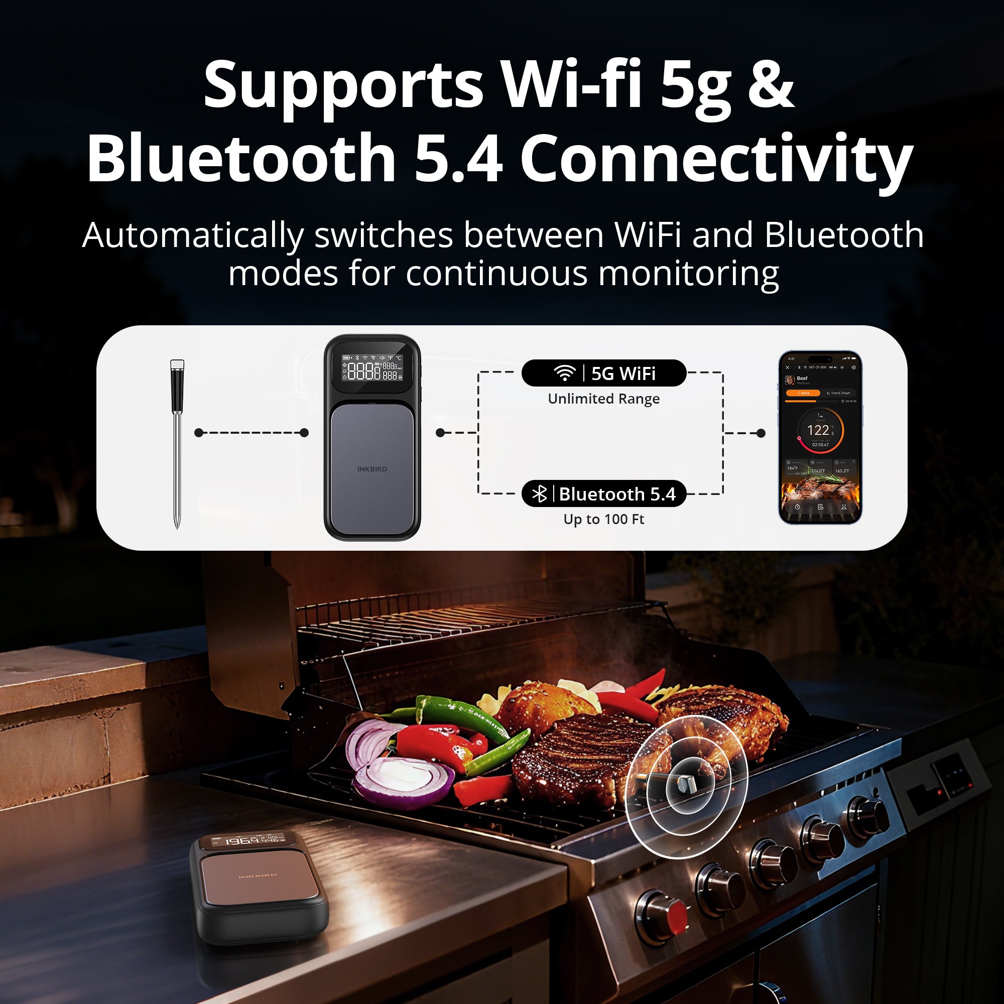 WiFi and Bluetooth Wireless Connection INT-31-BW