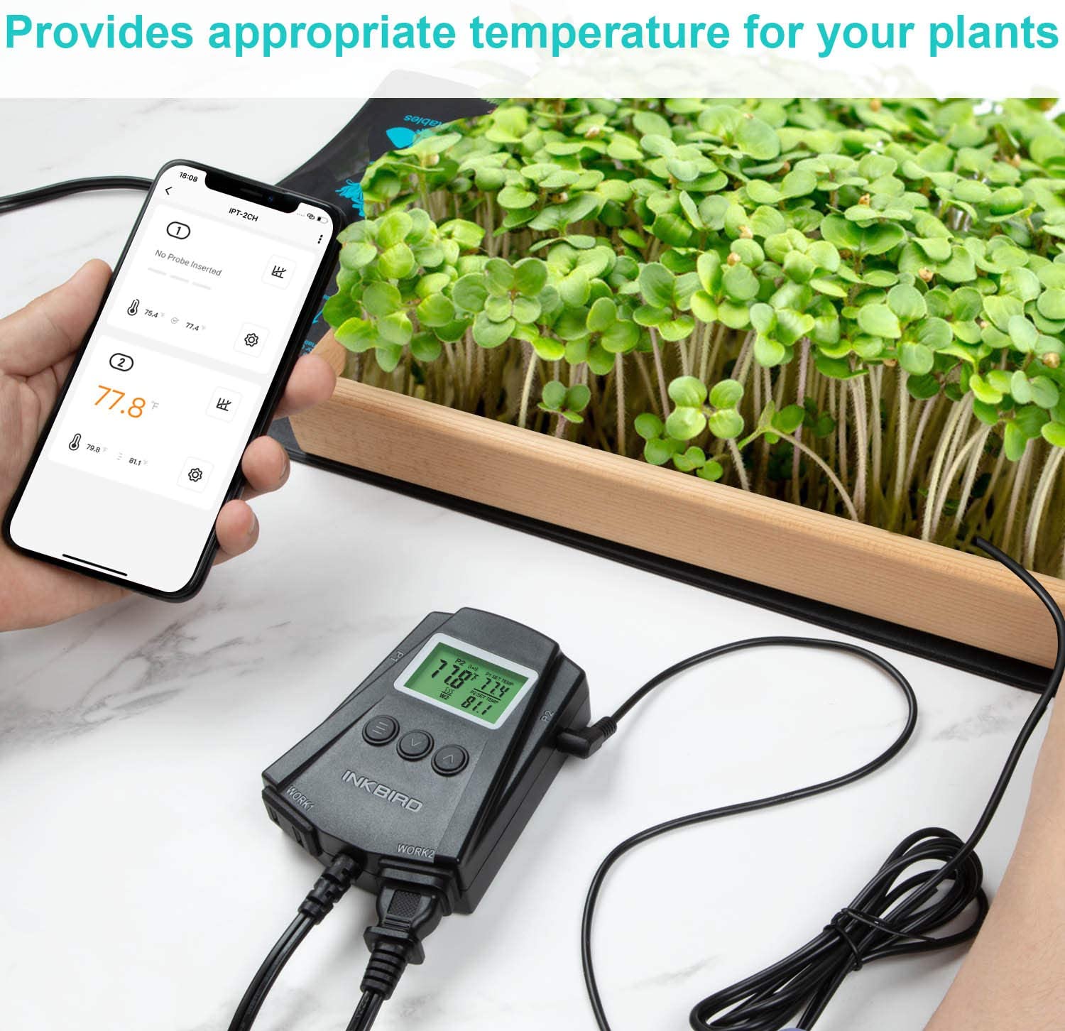 Temperature Controller IPT - 2CH - INKBIRD