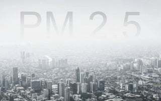 How PM2.5 Affects Your Health: Sources and Effects - INKBIRD