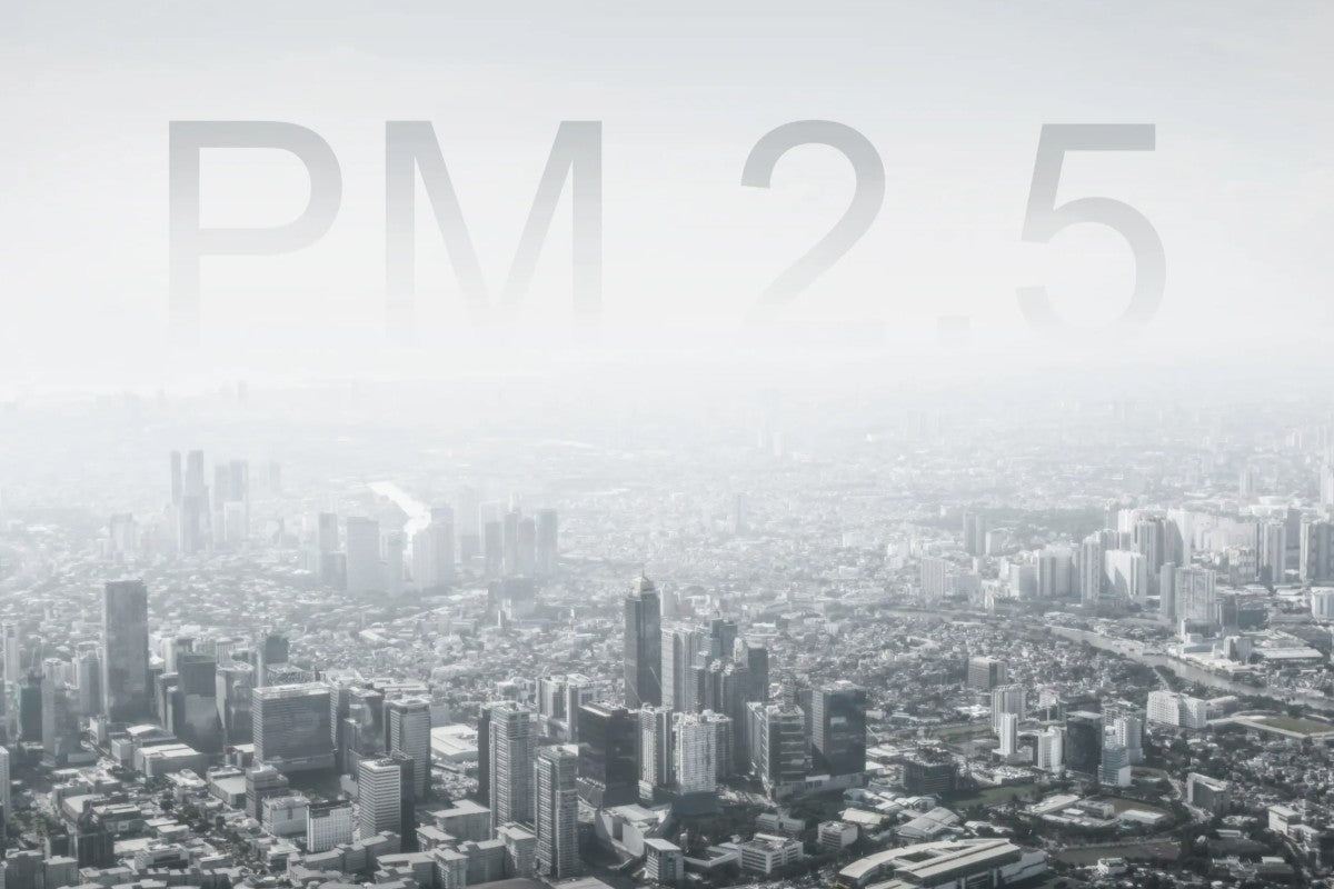 How PM2.5 Affects Your Health: Sources and Effects - INKBIRD