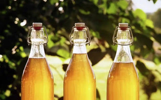 How to Brew Mead at Home: Mead Brewing Recipe - INKBIRD