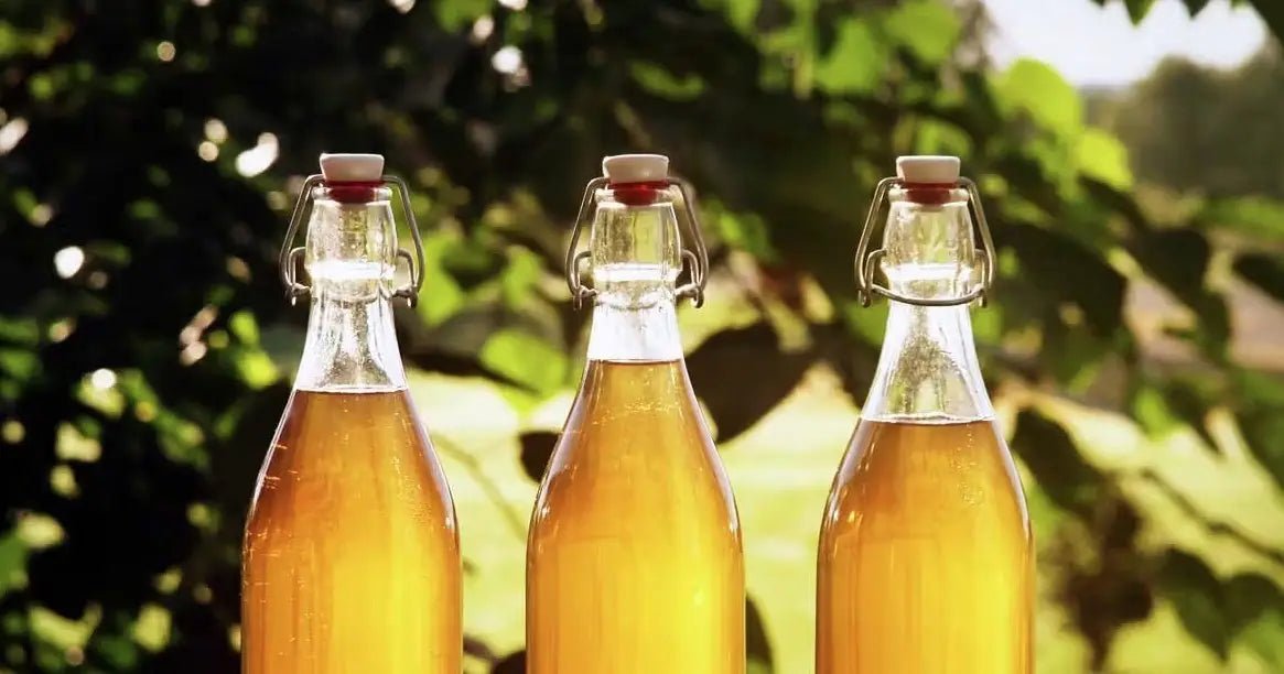 How to Brew Mead at Home: Mead Brewing Recipe - INKBIRD