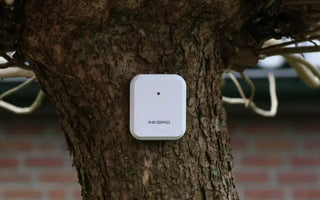 How to Calibrate a Hygrometer? Digital & Analog - INKBIRD