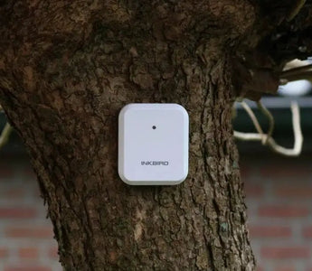 How to Calibrate a Hygrometer? Digital & Analog - INKBIRD