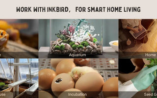 How to Choose an INKBIRD Temperature Controller - Chapter 1 - INKBIRD
