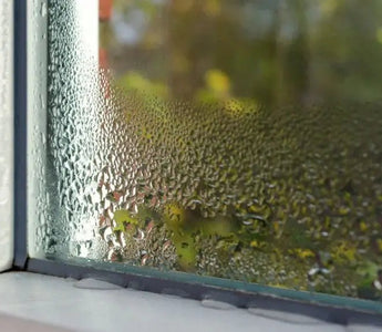 How to Reduce Humidity in House? 10 Tips to Lower Indoor Humidity - INKBIRD