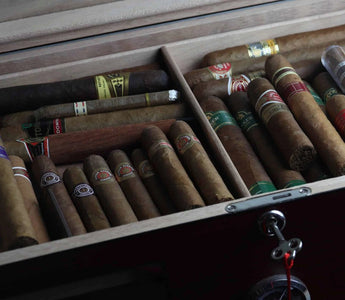 How to Store Cigars With and Without a Humidor