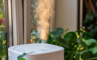 Increase Humidity in a Room