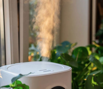 Increase Humidity in a Room