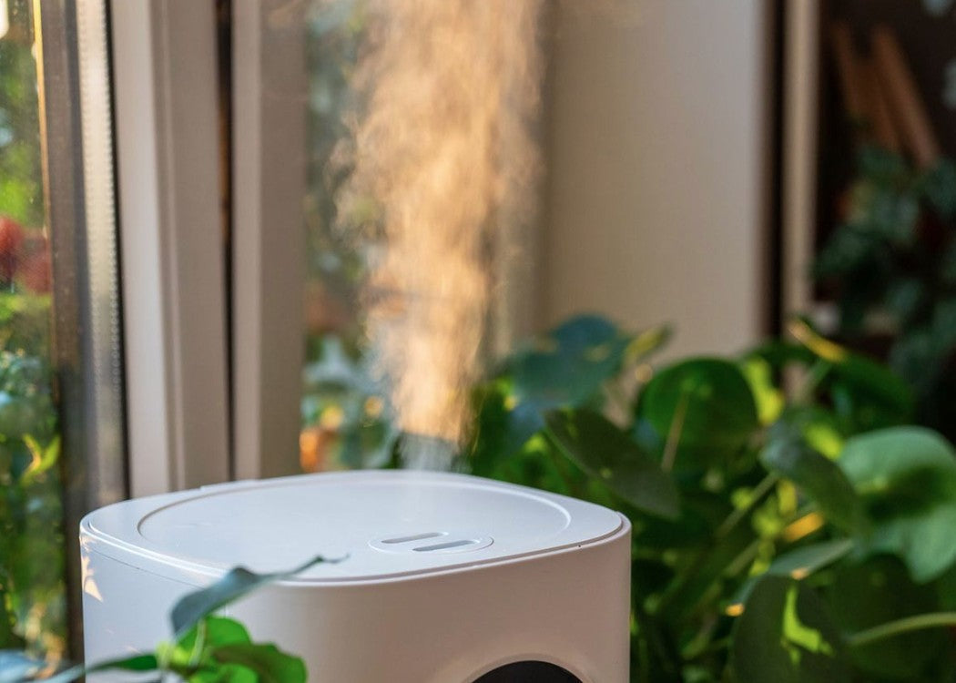 Increase Humidity in a Room