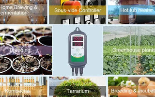 INKBIRD ITC-308 Digital Thermostat: Should You Buy? - INKBIRD