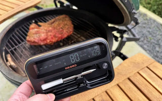 INT-12-BW Meat Thermometer Review