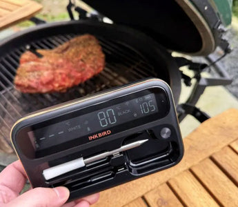 INT-12-BW Meat Thermometer Review
