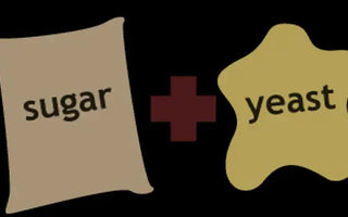 TIPS AND TECHNIQUES: How to Control Fermentation Temperature Better? - INKBIRD