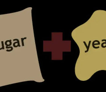 TIPS AND TECHNIQUES: How to Control Fermentation Temperature Better? - INKBIRD