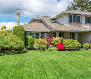 Top 10 Pro Tips for Lawn Care and Maintenance - INKBIRD