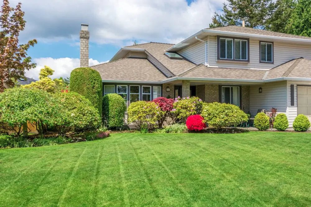 Top 10 Pro Tips for Lawn Care and Maintenance - INKBIRD