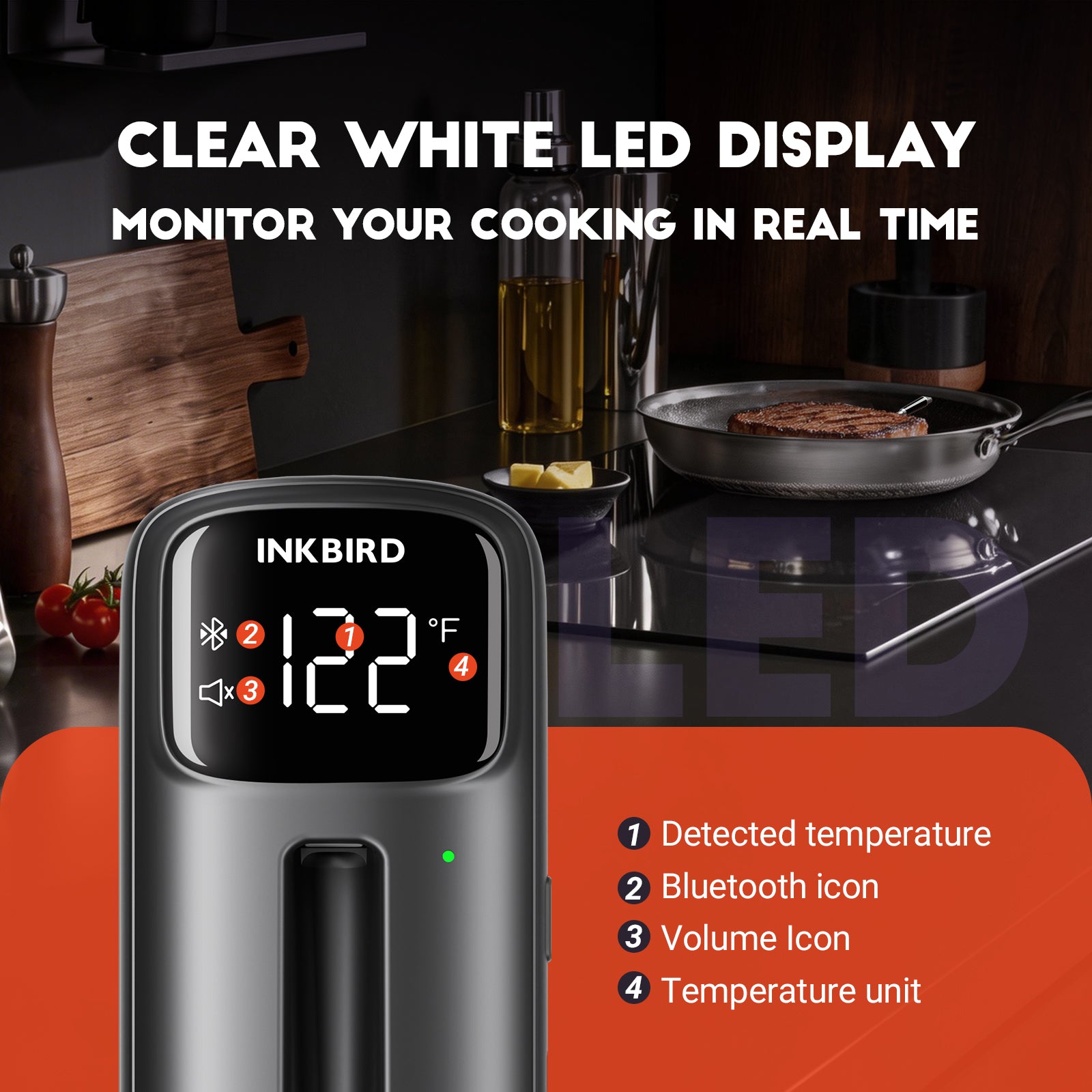 Bluetooth Meat Thermometer INT-11C-B