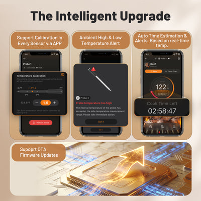 Multi-Sensor Meat Thermometer INT-33-BW