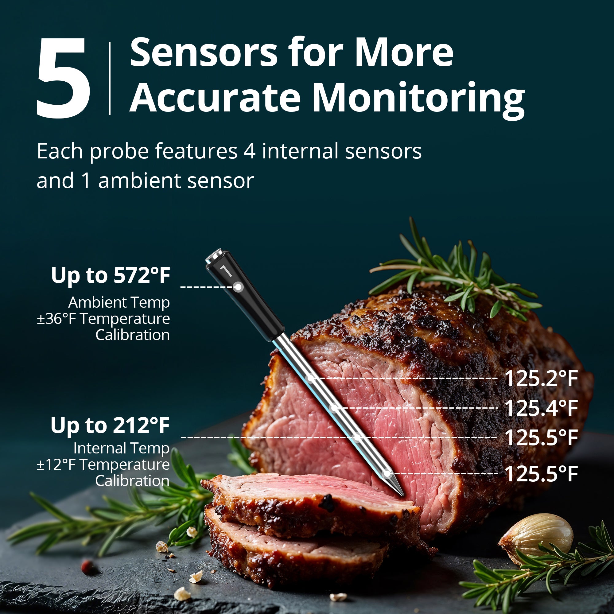 Meat Thermometer Pro INT-14S-BW