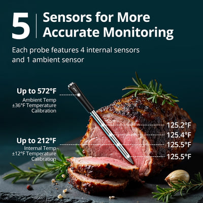 Meat Thermometer Pro INT-14S-BW