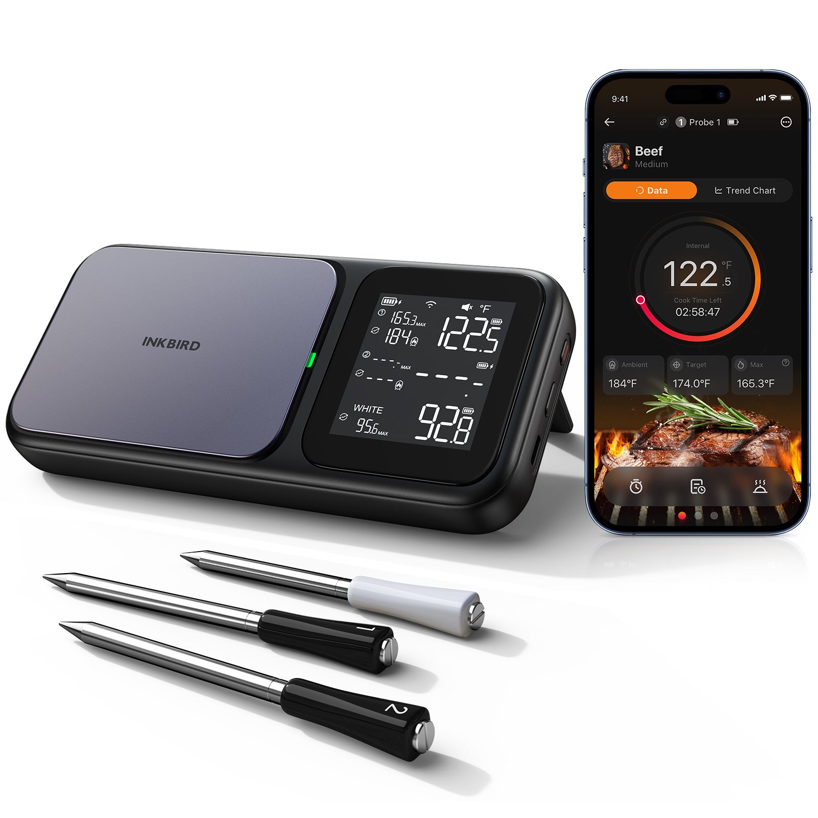 Multi-Sensor Meat Thermometer INT-33-BW