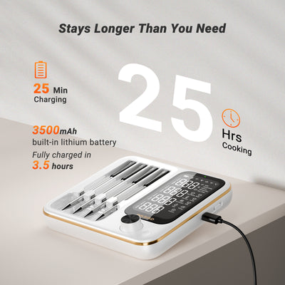 Termometr do mięsa WiFi i Bluetooth INT-14-BW