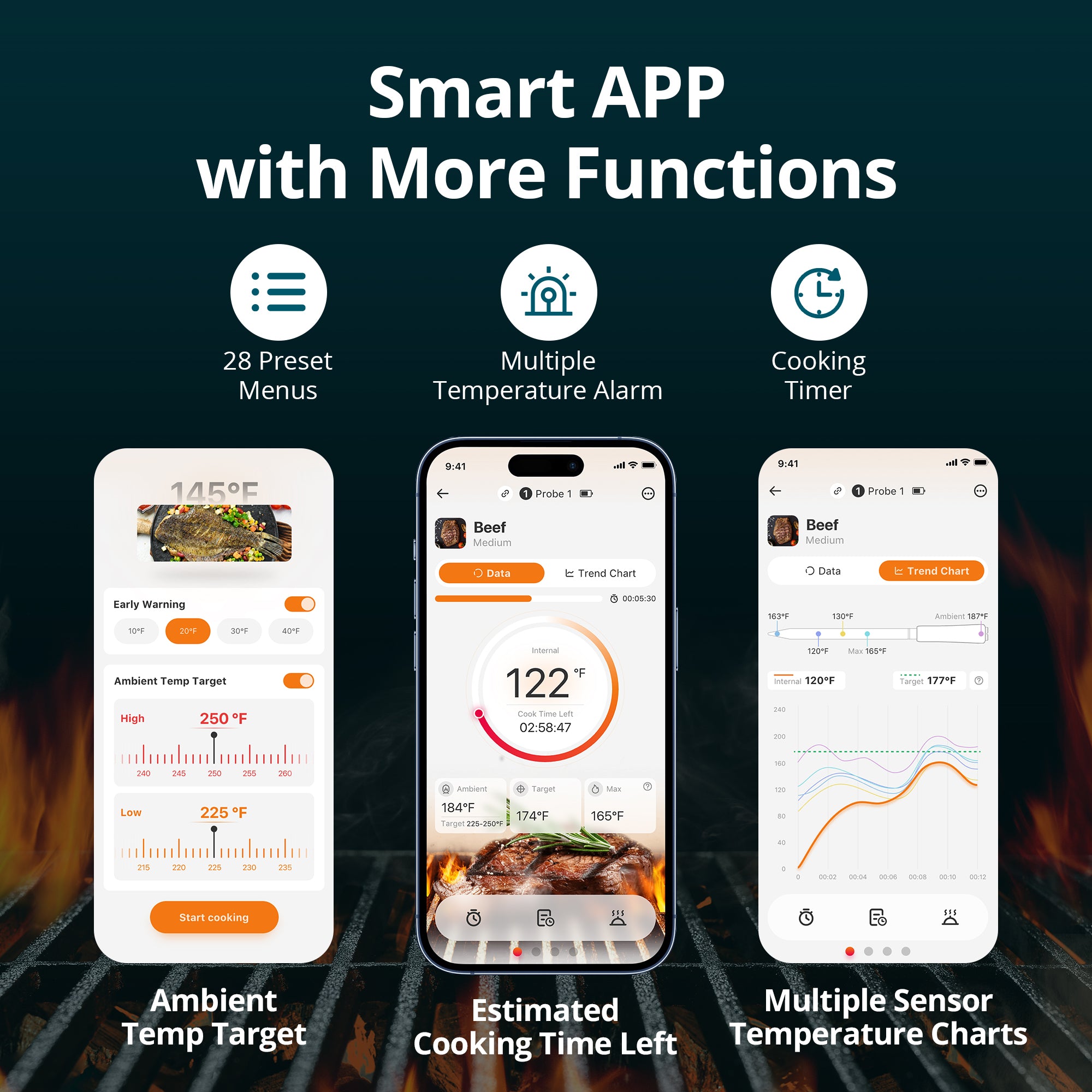 Meat Thermometer Pro INT-14S-BW