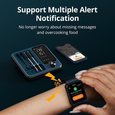 Meat Thermometer Pro INT-14S-BW