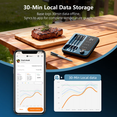 Meat Thermometer Pro INT-14S-BW