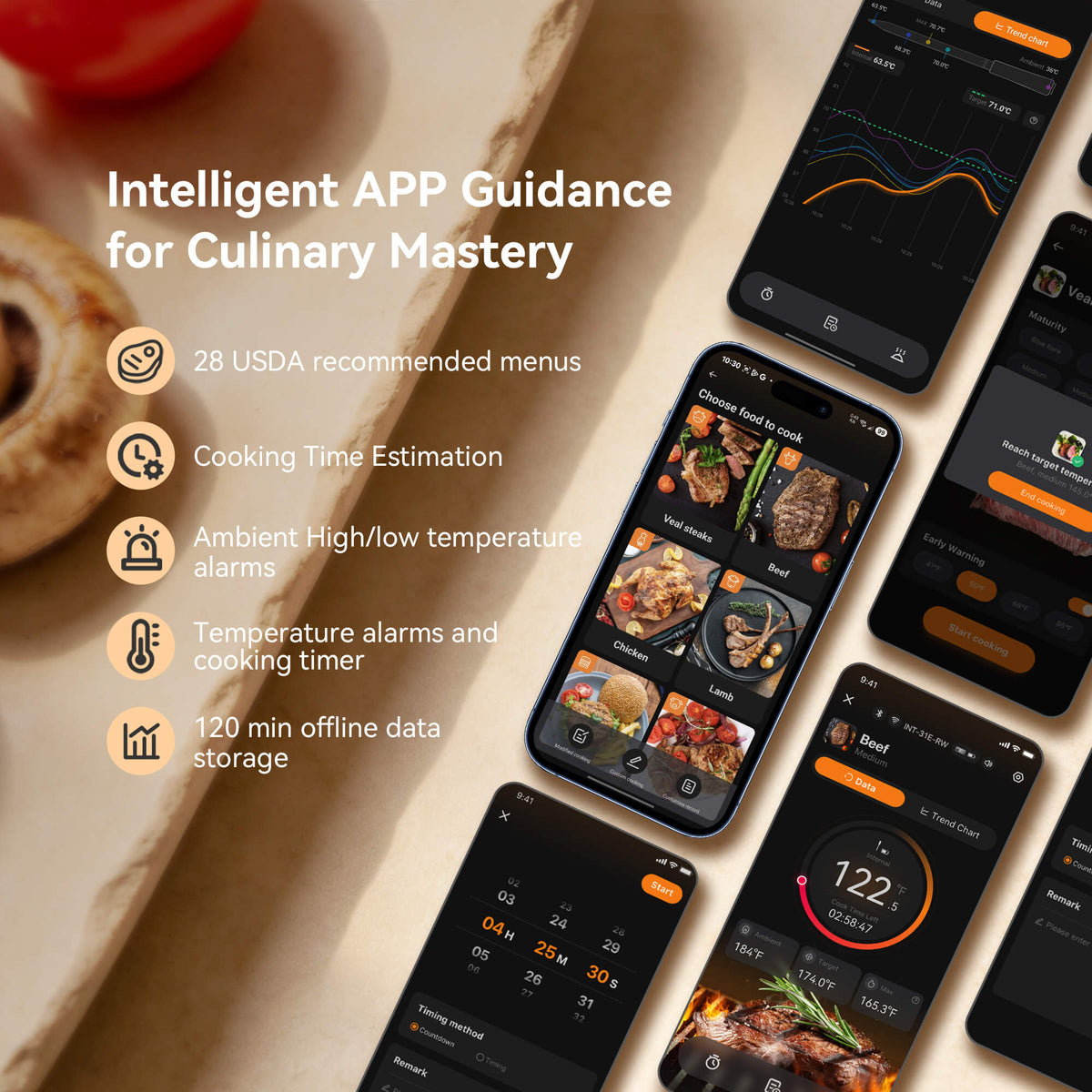 Thermomètre à viande WiFi et Bluetooth certifié NIST INT-31-BW