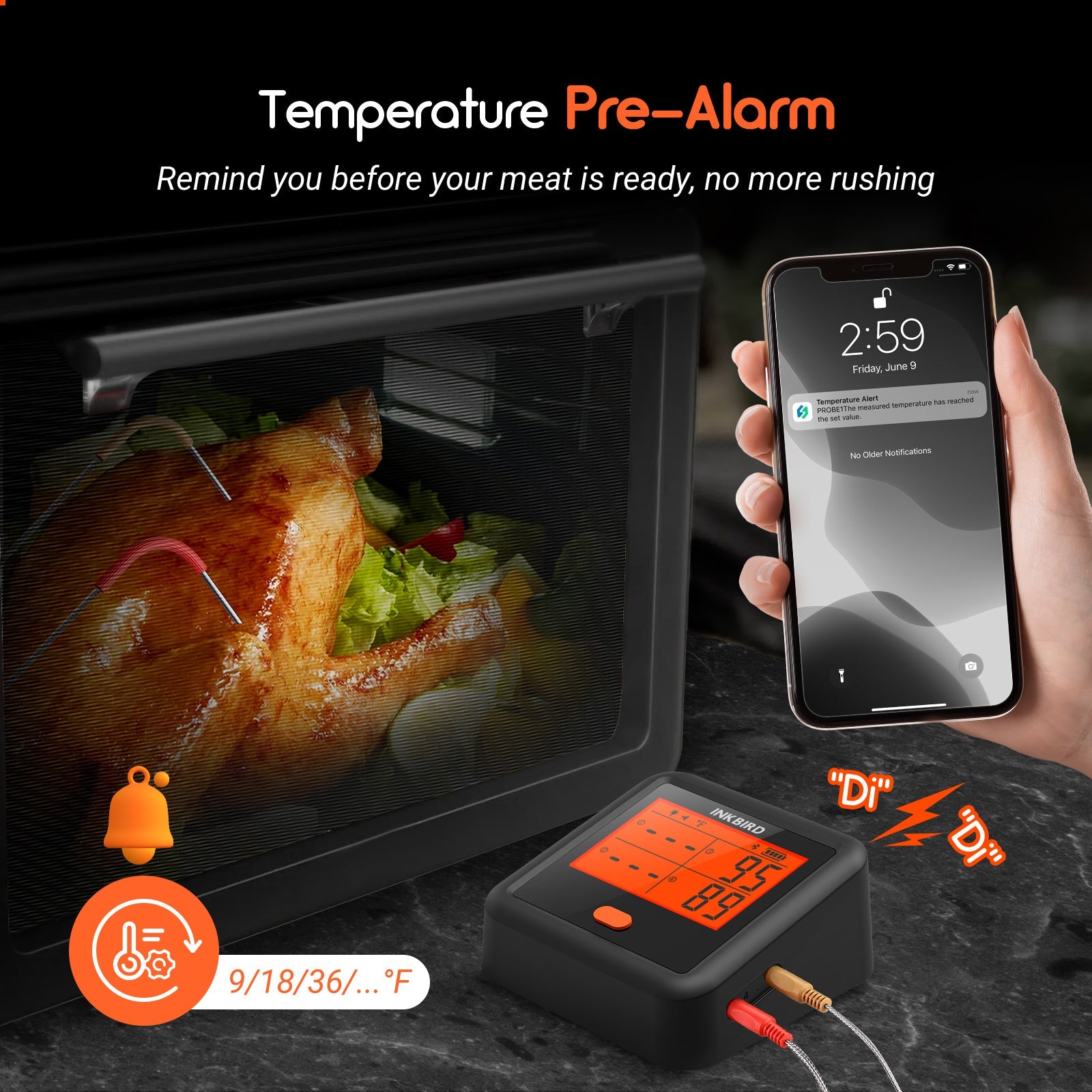 Bluetooth BBQ Thermometer IDT - 34c - B - INKBIRD