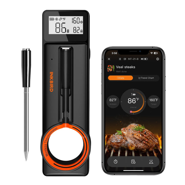 AlfaBot K2 Thermomètre à Viande Sans Fil 160m - Bluetooth Pour Barbecue, Four Et Airfryer Avec App