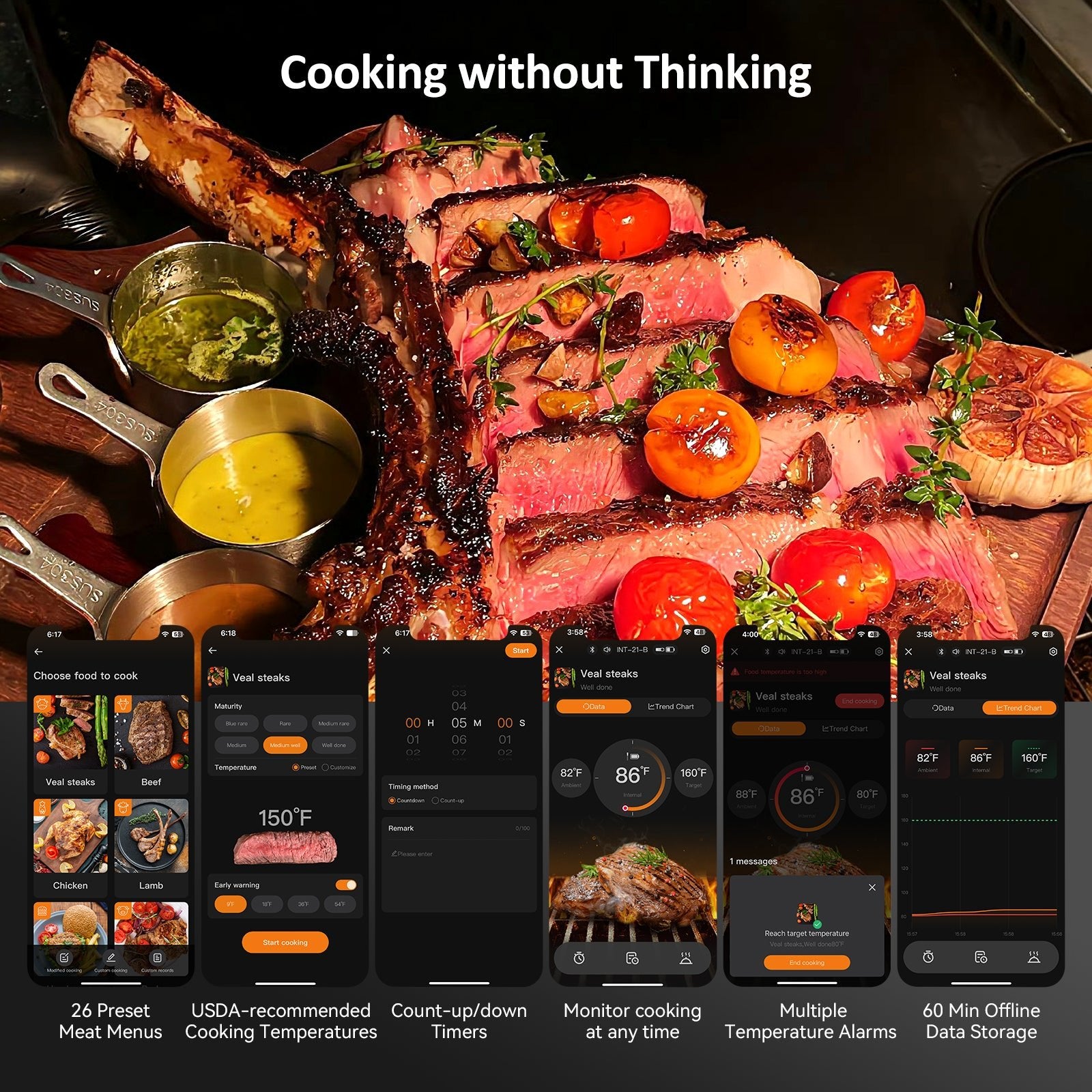 Bluetooth Meat Thermometer INT - 21 - B - INKBIRD