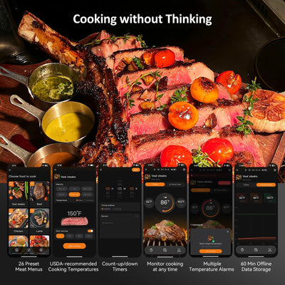 Bluetooth Meat Thermometer INT - 21 - B - INKBIRD