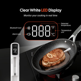 Bluetooth Mini Wireless Meat Thermometer INT - 11I - B - INKBIRD