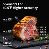 Five Sensors in One Probe INT-31-BW