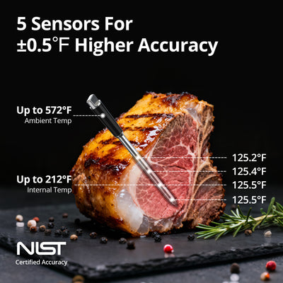 Five Sensors in One Probe INT-31-BW