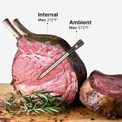 INT-11P-B Monitoring Internal and Ambient Temps